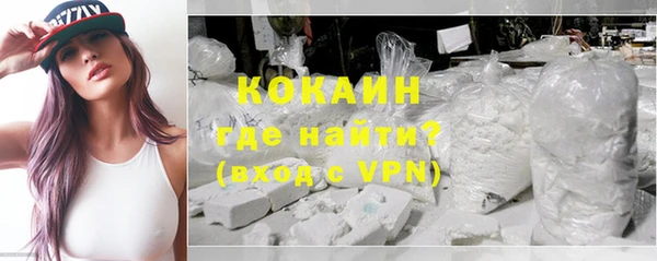 шишки Аркадак