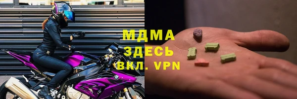 шишки Аркадак