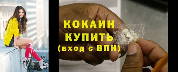 мяу мяу мука Баксан