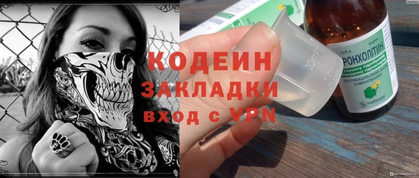 шишки Аркадак