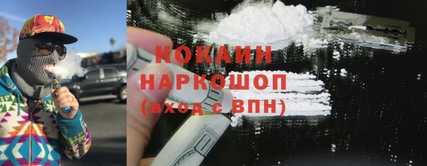шишки Аркадак