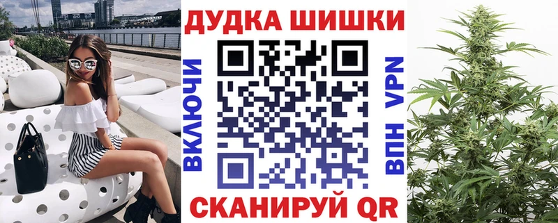 Бошки Шишки план Купить Миньяр
